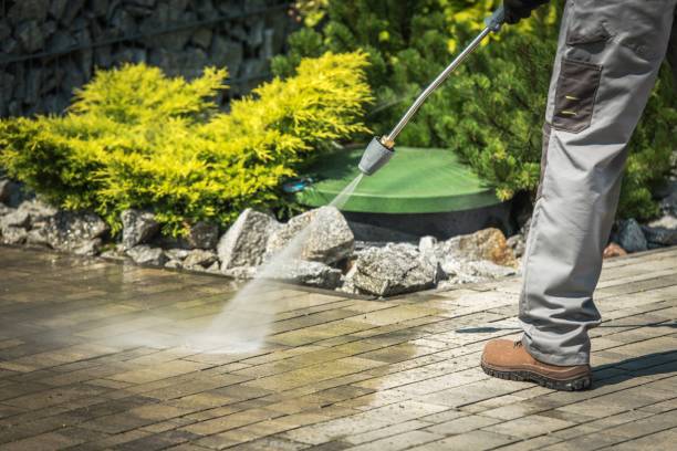 Boat and Dock Cleaning in Canton, TX